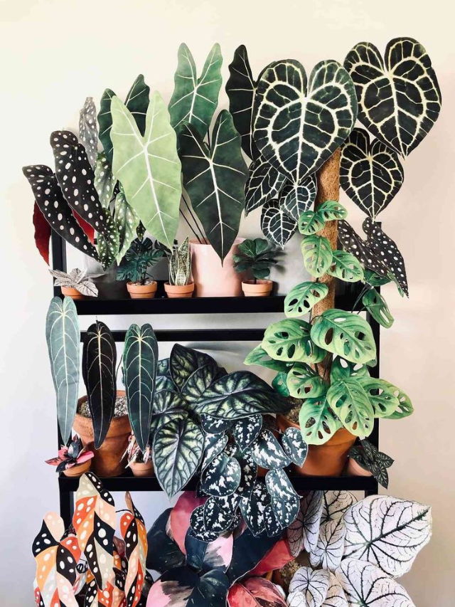 10 things ive learned by becoming a plant parent