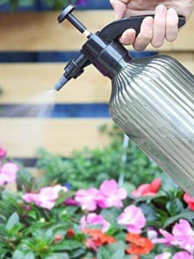 liquid fertilizer for summer plants
