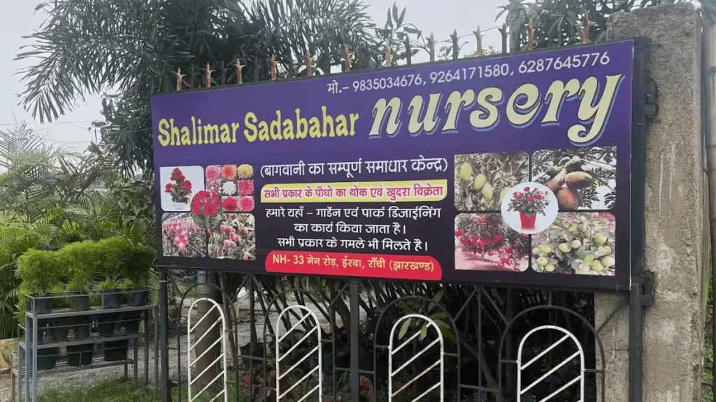 shalimaar nursery